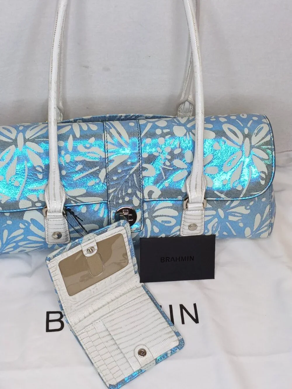 Brahmin Dayan Satchel and Wallet